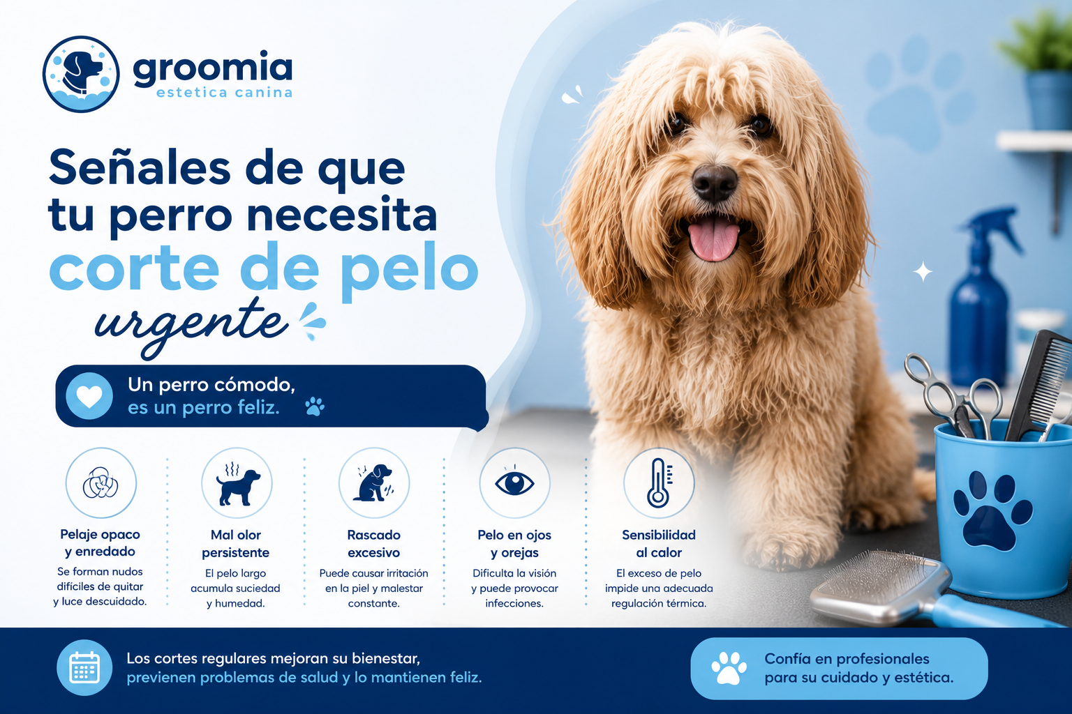 Señales de que tu perro necesita un corte de pelo urgente