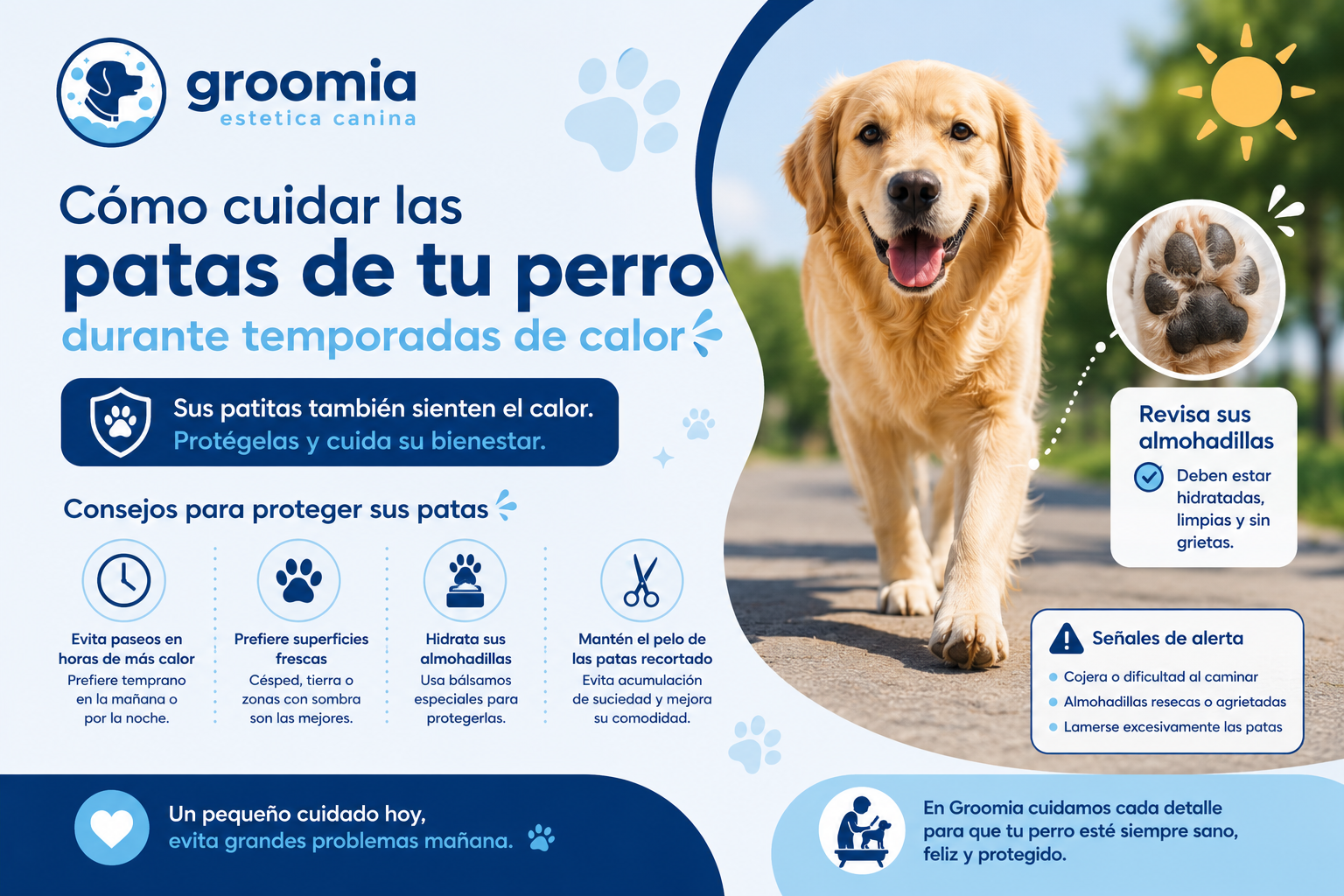 Cómo cuidar las patas de tu perro durante temporadas de calor