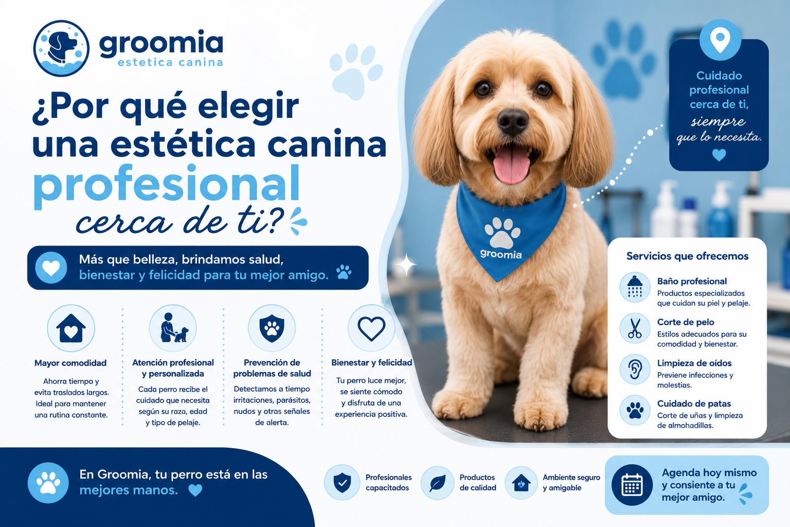 ¿Por qué elegir una estética canina profesional cerca de ti?
