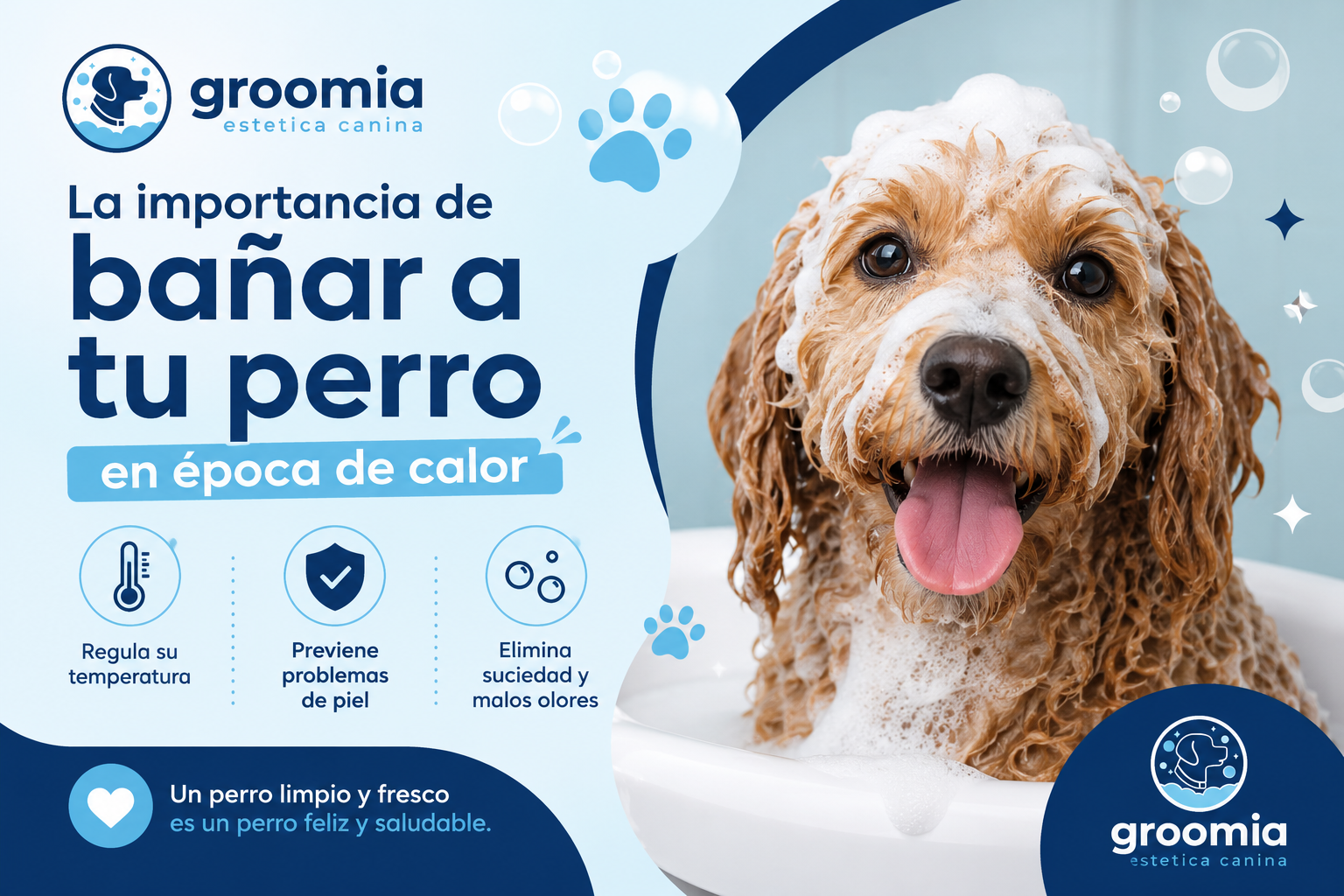 La importancia de bañar a tu perro en época de calor