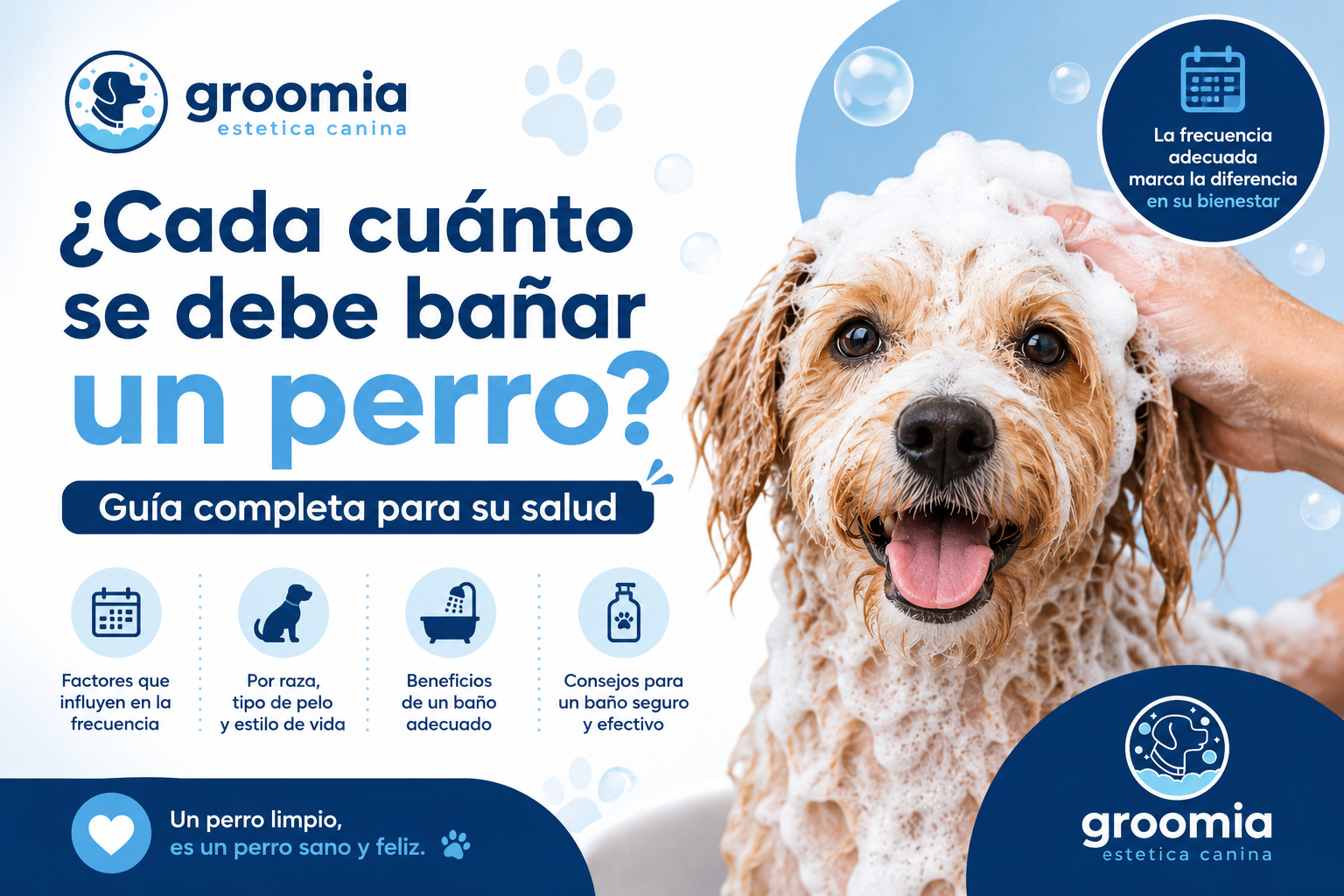 ¿Cada cuánto se debe bañar un perro? Guía completa para su salud